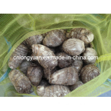 2015 Chinese New Crop Taro